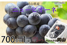 ぶどう 2025年 先行予約 ニュー ピオーネ 約700g×1房 ブドウ 葡萄  岡山県産 国産 フルーツ 果物 ギフト