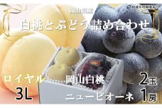 桃 ぶどう 2025年 先行予約 岡山 白桃 ロイヤル 2玉×約300g（3Lサイズ、早生種・中生種）ニュー ピオーネ 1房約600g  詰め合わせ 岡山県産 フルーツ