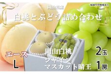 桃 ぶどう 2025年 先行予約 岡山 白桃 エース 2玉×約200g（Lサイズ、早生種・中生種）シャイン マスカット 晴王 1房約400g  詰め合わせ 岡山県産 フルーツ
