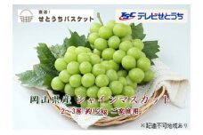 ぶどう 2025年 先行予約 ご家庭用 シャイン マスカット 2～3房 約1.2kg ブドウ 葡萄  岡山県産 国産 フルーツ 果物 直送！せとうちバスケット