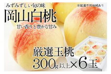 桃 2025年 先行予約 岡山の白桃 300g以上×6玉 白桃 旬 みずみずしい 晴れの国 おかやま 岡山県産 フルーツ王国 果物王国