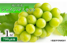 シャインマスカット 1房 700g前後 岡山県産 葡萄 ぶどう 果物 フルーツ 2023年 先行予約