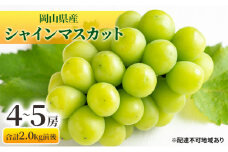 シャインマスカット 4～5房 合計2.0kg前後 岡山県産 葡萄 ぶどう 果物 フルーツ 2023年 先行予約