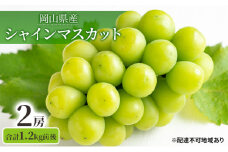 シャインマスカット 2房 合計1.2kg前後 岡山県産 葡萄 ぶどう 果物 フルーツ 2023年 先行予約