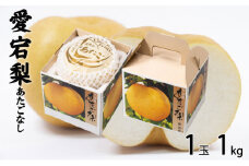 梨 あたご梨 1玉 約1kg なし ナシ  岡山県産 国産 フルーツ 果物 ギフト