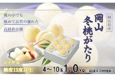 桃 岡山冬桃がたり ロイヤル 4～10玉 約1kg  もも モモ 岡山県産 国産 フルーツ 果物 ギフト JA吉備路