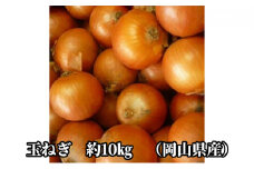 先行予約 玉ねぎ 約10kg（岡山県産） 晴れの国ファーム