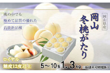 桃 岡山冬桃がたり ロイヤル 5～10玉 約1.3kg もも モモ 岡山県産 国産 フルーツ 果物 ギフト JA吉備路