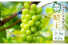 ぶどう 2025年 先行予約 岡山 名産  晴王 シャイン マスカット たっぷり2kg！9月上旬以降順次発送 ギフトにも ブドウ 葡萄  岡山県産 国産 フルーツ 果物