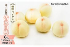 桃 2024年 先行予約 清水 白桃 6玉（1玉300g以上）等級： ロイヤル 化粧箱入り もも モモ 岡山県産 国産 フルーツ 果物 ギフト
