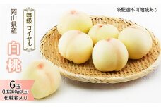 桃 2026年 先行予約 白桃 6玉（1玉250g以上）等級： ロイヤル 化粧箱入り もも モモ 岡山県産 国産 フルーツ 果物 ギフト 最高等級品 糖度12.0度以上 芳潤な香り贈答用 果汁滴る 