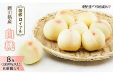 桃 2026年 先行予約 白桃 8玉（1玉200g以上）等級： ロイヤル 化粧箱入り もも モモ 岡山県産 国産 フルーツ 果物 ギフト  最高等級品 糖度12.0度以上 芳潤な香り贈答用 果汁滴る 