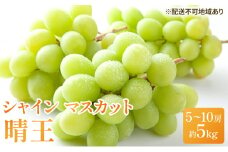 ぶどう 2025年 先行予約 シャイン マスカット 晴王 5房～10房 約5kg ブドウ 葡萄  岡山県産 国産 フルーツ 果物 ギフト