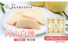 桃 2025年 先行予約 岡山 白桃（晩生種）ご家庭用 約1.9kg 6～9玉入り もも モモ 岡山県産 国産 フルーツ 果物 直送！せとうちバスケット