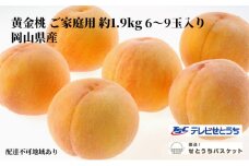 桃 2025年 先行予約 岡山 黄金桃 ご家庭用 約1.9kg 6～9玉入り もも モモ 岡山県産 国産 フルーツ 果物 直送！せとうちバスケット