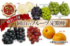 フルーツ 2025年 先行予約 晴れの国 岡山 の フルーツ 定期便 6回コース 桃 ぶどう 梨 岡山県産 国産 フルーツ 果物 ギフト
