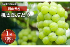 ぶどう 2024年 先行予約 桃太郎 ぶどう 1房 700g以上 化粧箱入り ブドウ 葡萄  岡山県産 国産 フルーツ 果物 ギフト