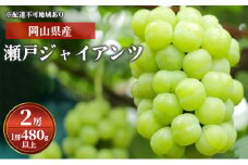ぶどう 2024年 先行予約 瀬戸ジャイアンツ 2房 （1房 480g以上） 化粧箱入り ブドウ 葡萄  岡山県産 国産 フルーツ 果物 ギフト