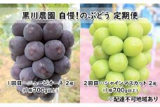 ぶどう 2025年 先行予約 定期便 2回 先行予約 黒川農園 自慢！の 大粒 大房 ニューピオーネ 2房 シャインマスカット 2房 （各1房700g以上） ブドウ 葡萄  岡山県産 国産 フルーツ 果物 ギフト
