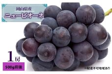 ぶどう 2025年 先行予約 ニュー ピオーネ 1房 500g前後 ブドウ 葡萄  岡山県産 国産 フルーツ 果物 ギフト