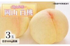 桃 2025年 先行予約 白桃 3玉入り 合計600g前後 岡山県産もも モモ 岡山県産 国産 フルーツ 果物 ギフト