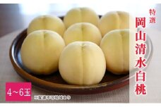 桃 2025年 先行予約 特選 岡山清水白桃 4～6玉 1.5k箱（正味内容量1.3kg以上）もも モモ 岡山県産 国産 フルーツ 果物 ギフト