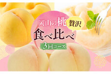 桃 定期便 2024年 先行予約 岡山 の 桃 食べ比べ 3回コース もも モモ 岡山県産 国産 フルーツ 果物 ギフト