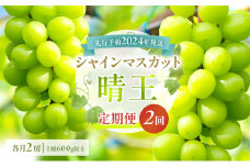ぶどう 定期便 2024年 先行予約 シャイン マスカット 晴王 各月2房（1房600g以上） 2回コース マスカット ブドウ 葡萄  岡山県産 国産 フルーツ 果物 ギフト