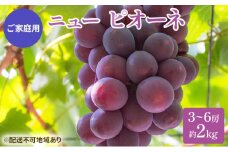 ぶどう 2025年 先行予約 ご家庭用 ニュー ピオーネ 3～6房 約2kg ブドウ 葡萄  岡山県産 国産 フルーツ 果物