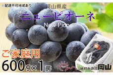 ぶどう 2025年 先行予約 ご家庭用 ニューピオーネ 約600g×1房 ブドウ 葡萄  岡山県産 国産 フルーツ 果物