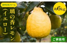 璃の香 レモン イエロー ご家庭用 約6kg れもん 檸檬 柑橘 国産  果汁 果物 フルーツ ゆめさきファーム