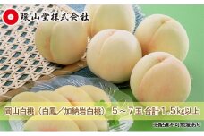 桃 2025年 先行予約 岡山 白桃（品種：白鳳／加納岩白桃）5～7玉 合計1.5kg以上 もも モモ 岡山県産 国産 フルーツ 果物 ギフト 環山堂