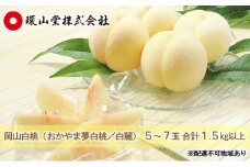 桃 2025年 先行予約 岡山 白桃（品種：おかやま夢白桃／白麗）5～7玉 合計1.5kg以上 もも モモ 岡山県産 国産 フルーツ 果物 ギフト 環山堂
