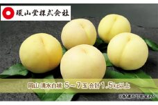 桃 2025年 先行予約 岡山 清水 白桃 5～7玉 合計1.5kg以上  もも モモ 岡山県産 国産 フルーツ 果物 ギフト 環山堂