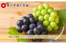 ぶどう 2025年 先行予約 種無し ぶどう 詰合せ 2房 合計1.2kg以上 マスカット ブドウ 葡萄  岡山県産 国産 フルーツ 果物 ギフト 環山堂