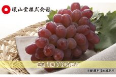 ぶどう 2025年 先行予約 冬 紫苑 1房 700g以上 ブドウ 葡萄  岡山県産 国産 フルーツ 果物 ギフト 環山堂