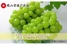 ぶどう 2025年 先行予約 マスカット・オブ・アレキサンドリア 2～3房 合計1.0kg以上 マスカット ブドウ 葡萄  岡山県産 国産 フルーツ 果物 ギフト 環山堂