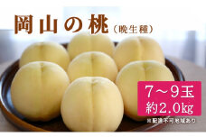 桃 2025年 先行予約 特選 岡山の桃 7～9玉 約2kg 晩生種 もも モモ 岡山県産 国産 フルーツ 果物 ギフト いろは堂
