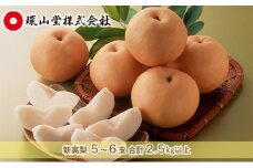 梨 2025年 先行予約 新高 梨 5～6玉 合計2.5kg以上 なし ナシ 岡山県産 国産 フルーツ 果物 ギフト 環山堂