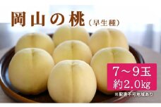 桃 2025年 先行予約 特選 岡山の桃 7～9玉 約2kg 早生種 もも モモ 岡山県産 国産 フルーツ 果物 ギフト いろは堂