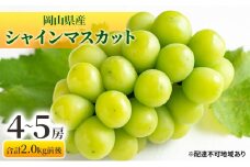 ぶどう 2025年 先行予約 シャインマスカット 晴王 4～5房 合計2.0kg前後 マスカット ブドウ 葡萄  岡山県産 国産 フルーツ 果物 ギフト