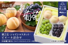 桃 ぶどう 2025年 白桃 晩生種 3玉 シャイン マスカット 1房 ニュー ピオーネ 1房 合計約1.8kg もも 葡萄 岡山県産 国産 フルーツ 果物 ギフト