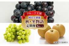 ぶどう 梨 定期便 2025年 先行予約 フルーツ王国 岡山を堪能 定期便 3回コース 葡萄 ぶどう 梨 なし 岡山県産 国産 果物 セット ギフト