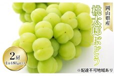 ぶどう 2025年 先行予約 桃太郎 ぶどう 2房（1房 480g以上 露地栽培）贈答用 ブドウ 葡萄  岡山県産 国産 フルーツ 果物 ギフト