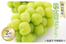 ぶどう 2025年 先行予約 桃太郎 ぶどう 2房（1房 480g以上 ハウス栽培）贈答用 ブドウ 葡萄  岡山県産 国産 フルーツ 果物 ギフト