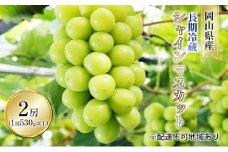 ぶどう 2025年 先行予約 長期冷蔵 シャイン マスカット 2房入り（1房 530g以上） ブドウ 葡萄  岡山県産 国産 フルーツ 果物 ギフト