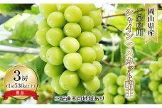 ぶどう 2025年 先行予約 ご家庭用 シャイン マスカット 晴王 優品 3房入り（1房 530g以上 露地栽培） ブドウ 葡萄  岡山県産 国産 フルーツ 果物