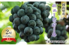 ぶどう 2025年 先行予約 ご家庭用 ニュー ピオーネ 優品 2房入り（1房 530g以上 露地栽培） ブドウ 葡萄  岡山県産 国産 フルーツ 果物