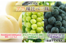 桃 ぶどう 2025年 先行予約 果物 味比べ三昧 岡山 白桃 4玉 等級：ロイヤル（1玉220g以上） シャイン マスカット 晴王 1房 580g以上 ニュー ピオーネ 1房 580g以上 詰合せ 岡山県産 国産 フルーツ ギフト
