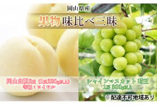 桃 ぶどう 2025年 先行予約 果物 味比べ三昧 岡山 白桃 2玉 等級：ロイヤル（1玉220g以上） シャイン マスカット 晴王 1房 380g以上 詰合せ もも 葡萄 岡山県産 国産 フルーツ 果物 ギフト
